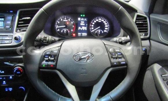 Acheter Occasion Voiture Hyundai Tucson Gris à Maseru, Maseru Acheter Occasion Voiture Hyundai Tucson Gris à Maseru, Maseru
