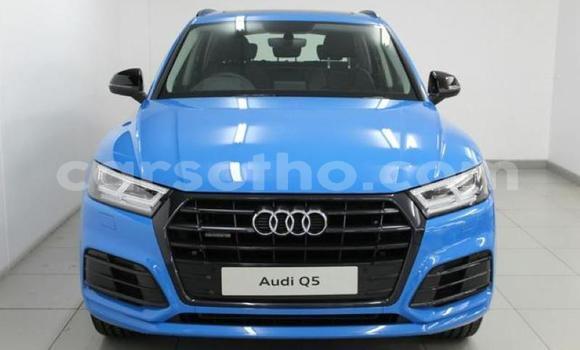 Buy Used Audi Q5 Other Car in Hlotse in Leribe Buy Used Audi Q5 Other Car in Hlotse in Leribe