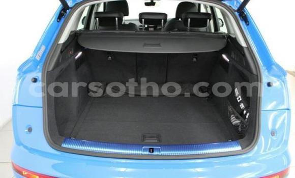 Buy Used Audi Q5 Other Car in Hlotse in Leribe Buy Used Audi Q5 Other Car in Hlotse in Leribe