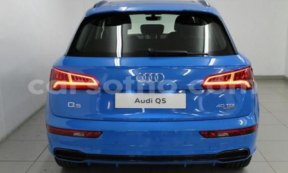 Buy Used Audi Q5 Other Car in Hlotse in Leribe Buy Used Audi Q5 Other Car in Hlotse in Leribe