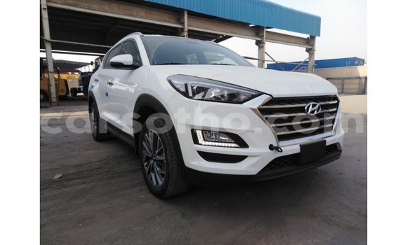 Sayi Imported Hyundai Tucson White Mota in Import - Dubai a Maseru Sayi Imported Hyundai Tucson White Mota in Import - Dubai a Maseru