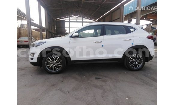 Sayi Imported Hyundai Tucson White Mota in Import - Dubai a Maseru Sayi Imported Hyundai Tucson White Mota in Import - Dubai a Maseru