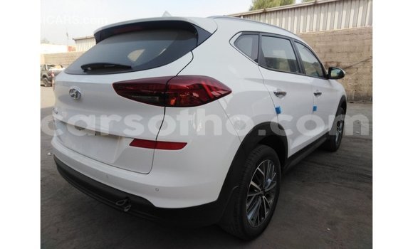 Sayi Imported Hyundai Tucson White Mota in Import - Dubai a Maseru Sayi Imported Hyundai Tucson White Mota in Import - Dubai a Maseru