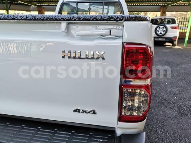 Big with watermark 5