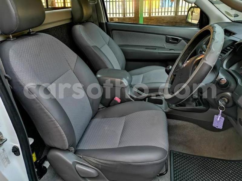 Big with watermark 7