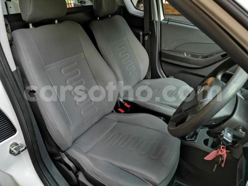 Big with watermark 12