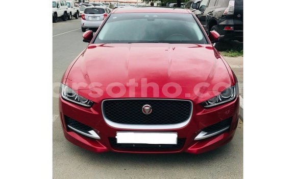 Sayi Imported Jaguar XE Red Mota in Import - Dubai a Maseru