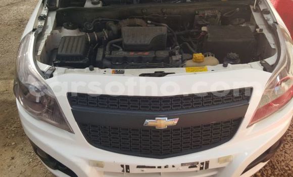 Buy Used Chevrolet S-10 Pickup White Car in Import - Dubai in Maseru Buy Used Chevrolet S-10 Pickup White Car in Import - Dubai in Maseru