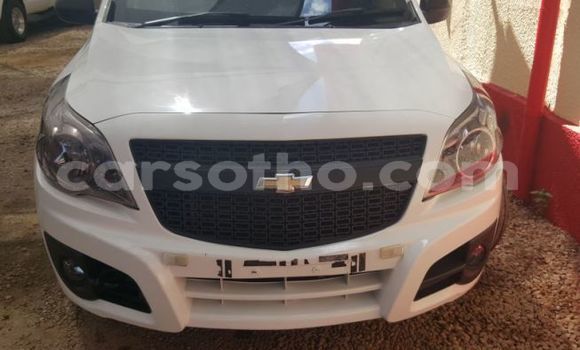 Buy Used Chevrolet S-10 Pickup White Car in Import - Dubai in Maseru Buy Used Chevrolet S-10 Pickup White Car in Import - Dubai in Maseru