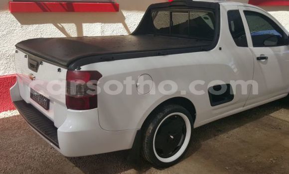 Buy Used Chevrolet S-10 Pickup White Car in Import - Dubai in Maseru Buy Used Chevrolet S-10 Pickup White Car in Import - Dubai in Maseru