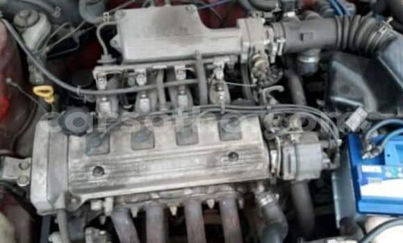 اشتري مستعمل Toyota Tacoma Red سيارة في Mafeteng في Mafeteng اشتري مستعمل Toyota Tacoma Red سيارة في Mafeteng في Mafeteng