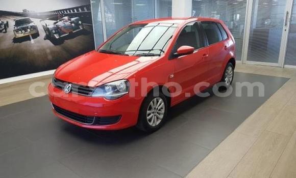 اشتري مستعمل Volkswagen Polo Red سيارة في Maseru في Maseru اشتري مستعمل Volkswagen Polo Red سيارة في Maseru في Maseru
