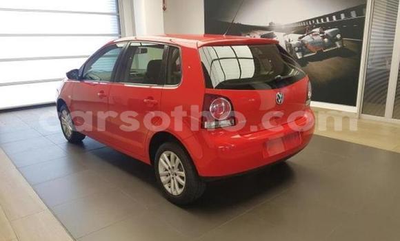 اشتري مستعمل Volkswagen Polo Red سيارة في Maseru في Maseru اشتري مستعمل Volkswagen Polo Red سيارة في Maseru في Maseru