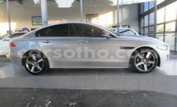 Sayi Na hannu Jaguar XFR Silver Mota in Maseru a Maseru