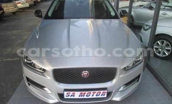 Acheter Occasion Voiture Jaguar XFR Gris à Maseru, Maseru Acheter Occasion Voiture Jaguar XFR Gris à Maseru, Maseru
