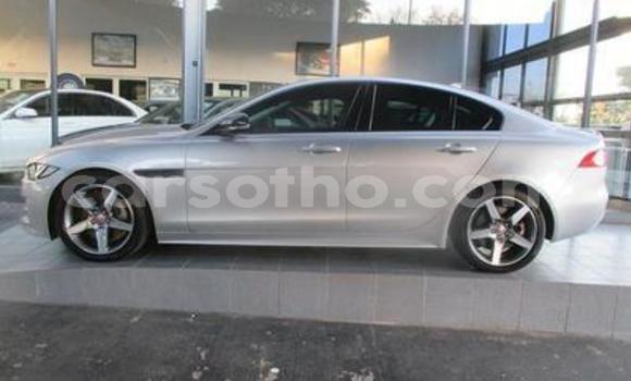 Acheter Occasion Voiture Jaguar XFR Gris à Maseru, Maseru Acheter Occasion Voiture Jaguar XFR Gris à Maseru, Maseru