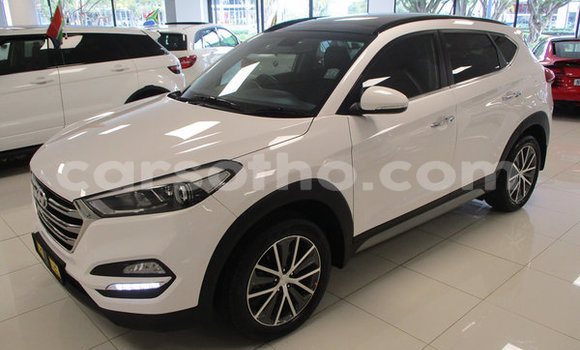 اشتري مستعمل Hyundai Tucson White سيارة في Maputsoa في Leribe اشتري مستعمل Hyundai Tucson White سيارة في Maputsoa في Leribe