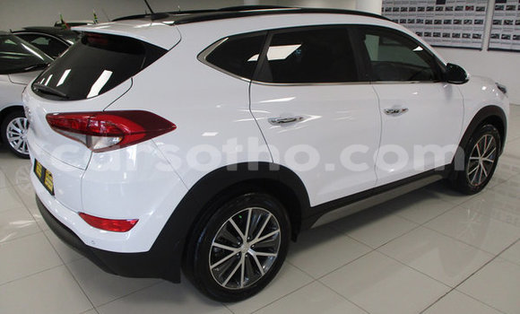اشتري مستعمل Hyundai Tucson White سيارة في Maputsoa في Leribe اشتري مستعمل Hyundai Tucson White سيارة في Maputsoa في Leribe