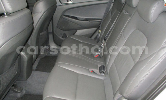 اشتري مستعمل Hyundai Tucson White سيارة في Maputsoa في Leribe اشتري مستعمل Hyundai Tucson White سيارة في Maputsoa في Leribe
