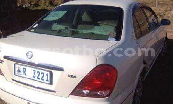 Sayi Na hannu Nissan Sunny White Mota in Maseru a Maseru Sayi Na hannu Nissan Sunny White Mota in Maseru a Maseru