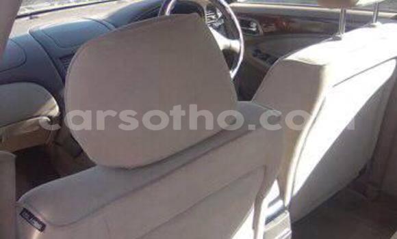 Sayi Na hannu Nissan Sunny White Mota in Maseru a Maseru Sayi Na hannu Nissan Sunny White Mota in Maseru a Maseru