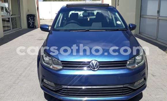 Sayi Na hannu Volkswagen Polo Blue Mota in Thaba–Tseka a Mafeteng Sayi Na hannu Volkswagen Polo Blue Mota in Thaba–Tseka a Mafeteng