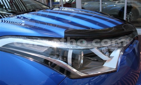 اشتري مستعمل Toyota C-HR Blue سيارة في Mohale's Hoek في Mohale's Hoek اشتري مستعمل Toyota C-HR Blue سيارة في Mohale's Hoek في Mohale's Hoek