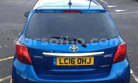 Buy Used Toyota Yaris Blue Car in Maseru in Maseru Buy Used Toyota Yaris Blue Car in Maseru in Maseru