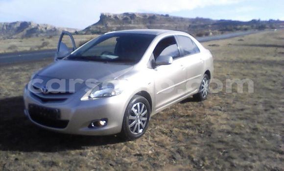 اشتري مستعمل Toyota Vios Silver سيارة في Maseru في Maseru اشتري مستعمل Toyota Vios Silver سيارة في Maseru في Maseru
