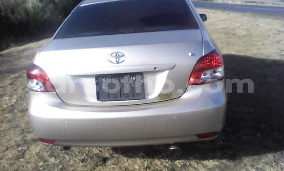 اشتري مستعمل Toyota Vios Silver سيارة في Maseru في Maseru اشتري مستعمل Toyota Vios Silver سيارة في Maseru في Maseru