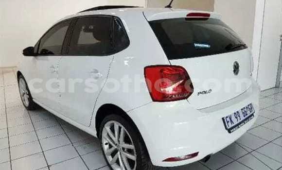 Acheter Occasion Voiture Volkswagen Polo Blanc à Thaba–Tseka, Mafeteng Acheter Occasion Voiture Volkswagen Polo Blanc à Thaba–Tseka, Mafeteng
