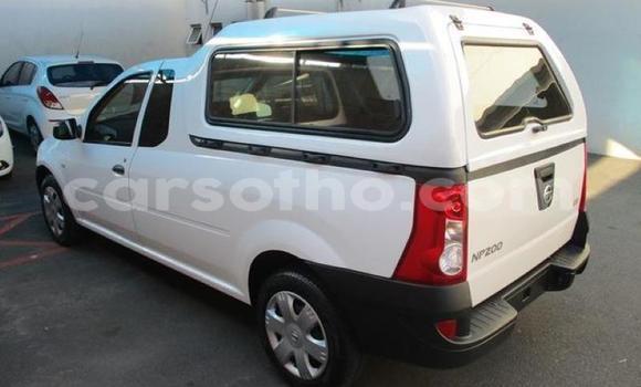 Acheter Occasion Voiture Nissan NP 300 Blanc à Hlotse, Leribe Acheter Occasion Voiture Nissan NP 300 Blanc à Hlotse, Leribe