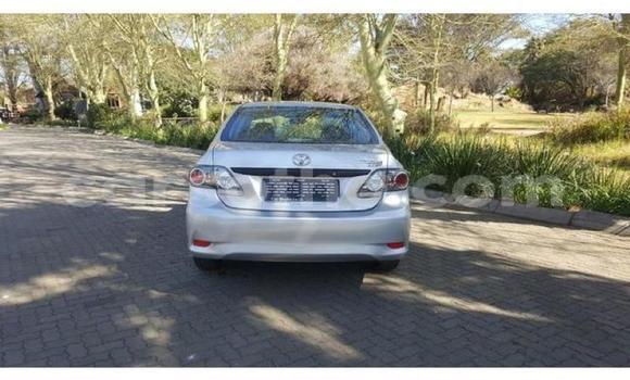 اشتري مستعمل Toyota Corolla Silver سيارة في Maputsoe في Leribe اشتري مستعمل Toyota Corolla Silver سيارة في Maputsoe في Leribe