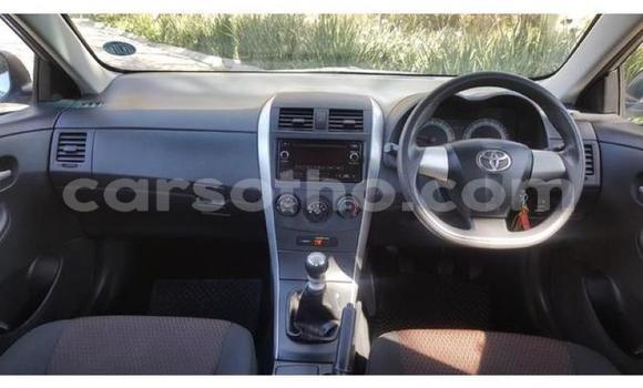 اشتري مستعمل Toyota Corolla Silver سيارة في Maputsoe في Leribe اشتري مستعمل Toyota Corolla Silver سيارة في Maputsoe في Leribe