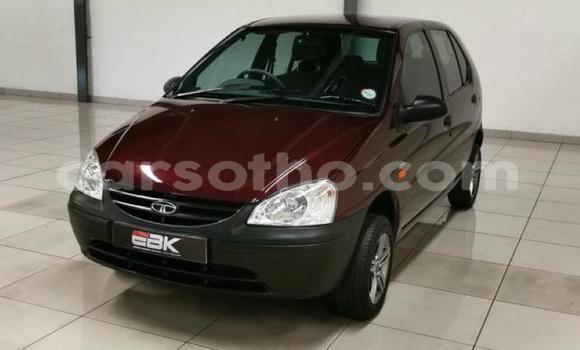 Buy Used TATA Indica Other Car in Maputsoa in Leribe Buy Used TATA Indica Other Car in Maputsoa in Leribe