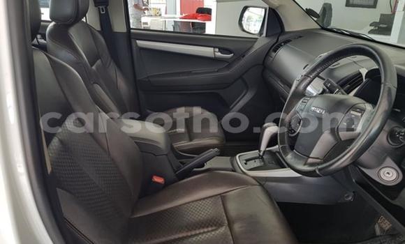 اشتري مستعمل Isuzu KB White سيارة في Maseru في Maseru اشتري مستعمل Isuzu KB White سيارة في Maseru في Maseru