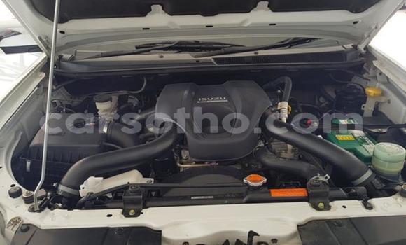 اشتري مستعمل Isuzu KB White سيارة في Maseru في Maseru اشتري مستعمل Isuzu KB White سيارة في Maseru في Maseru