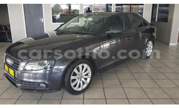 Sayi Na hannu Audi A4 Black Mota in Maseru a Maseru Sayi Na hannu Audi A4 Black Mota in Maseru a Maseru