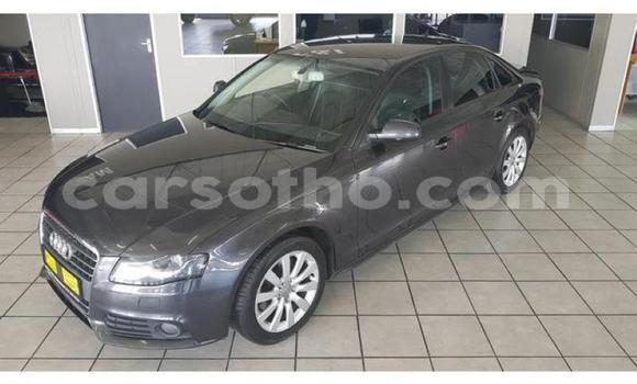 Sayi Na hannu Audi A4 Black Mota in Maseru a Maseru Sayi Na hannu Audi A4 Black Mota in Maseru a Maseru