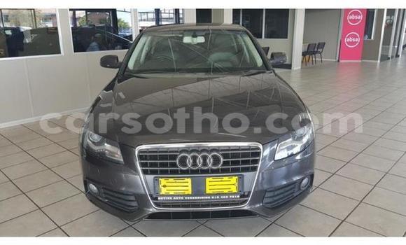 Sayi Na hannu Audi A4 Black Mota in Maseru a Maseru Sayi Na hannu Audi A4 Black Mota in Maseru a Maseru