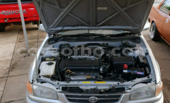 اشتري مستعمل Toyota Corolla Silver سيارة في Maputsoe في Leribe اشتري مستعمل Toyota Corolla Silver سيارة في Maputsoe في Leribe