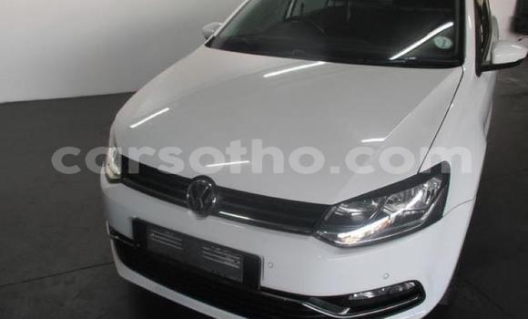 اشتري مستعمل Volkswagen Polo White سيارة في Maseru في Maseru اشتري مستعمل Volkswagen Polo White سيارة في Maseru في Maseru