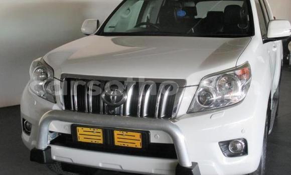 اشتري مستعمل Toyota Land Cruiser Prado White سيارة في Maseru في Maseru اشتري مستعمل Toyota Land Cruiser Prado White سيارة في Maseru في Maseru