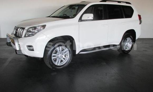 اشتري مستعمل Toyota Land Cruiser Prado White سيارة في Maseru في Maseru اشتري مستعمل Toyota Land Cruiser Prado White سيارة في Maseru في Maseru