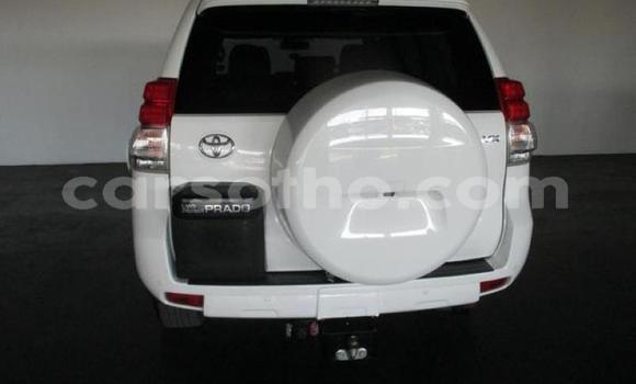 اشتري مستعمل Toyota Land Cruiser Prado White سيارة في Maseru في Maseru اشتري مستعمل Toyota Land Cruiser Prado White سيارة في Maseru في Maseru