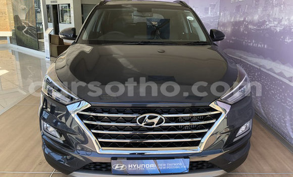 اشتري مستعمل Hyundai Tucson Silver سيارة في Mafeteng في Mafeteng اشتري مستعمل Hyundai Tucson Silver سيارة في Mafeteng في Mafeteng