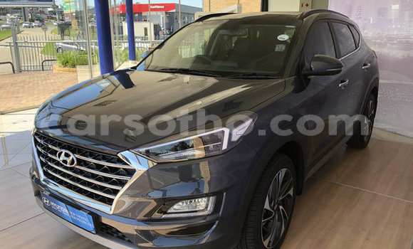اشتري مستعمل Hyundai Tucson Silver سيارة في Mafeteng في Mafeteng اشتري مستعمل Hyundai Tucson Silver سيارة في Mafeteng في Mafeteng