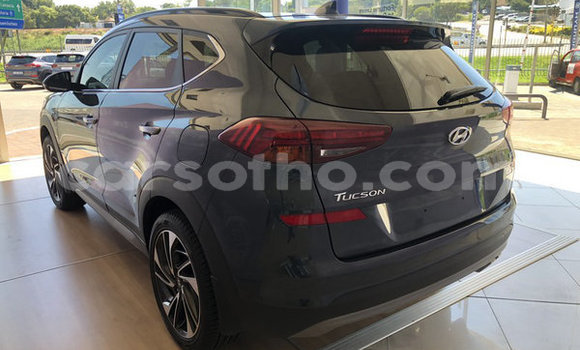 اشتري مستعمل Hyundai Tucson Silver سيارة في Mafeteng في Mafeteng اشتري مستعمل Hyundai Tucson Silver سيارة في Mafeteng في Mafeteng