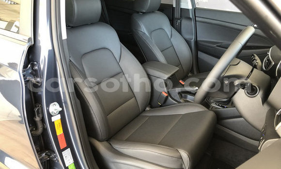 اشتري مستعمل Hyundai Tucson Silver سيارة في Mafeteng في Mafeteng اشتري مستعمل Hyundai Tucson Silver سيارة في Mafeteng في Mafeteng