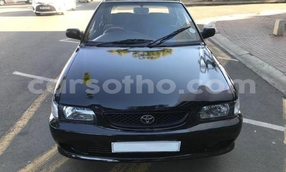 Buy Used Toyota Etios Silver Car in Maseru in Maseru Buy Used Toyota Etios Silver Car in Maseru in Maseru
